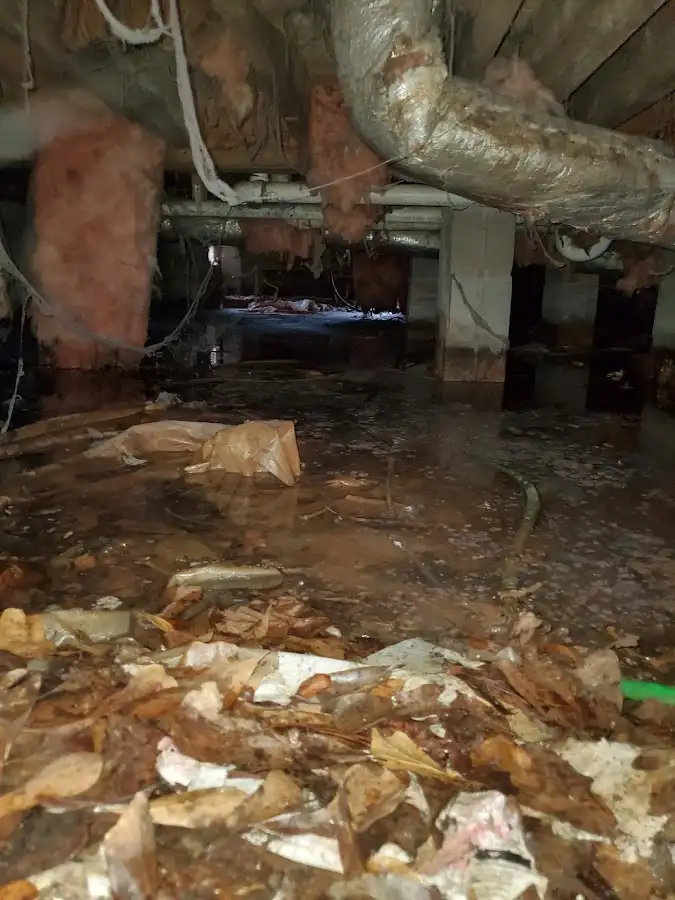 Crawl space flood assessment for Leak Detection & Repair in Montgomery